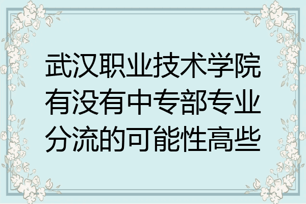 武汉职业技术学院有没有中专部专业分流的可能性高些