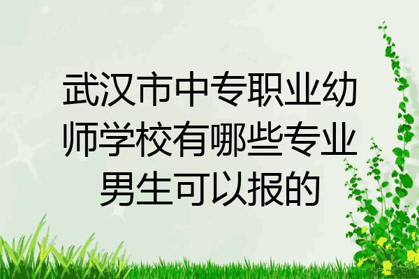 武汉市中专职业幼师学校有哪些专业男生可以报的