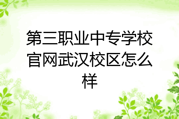 第三职业中专学校官网武汉校区怎么样