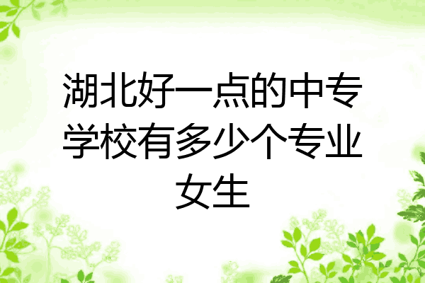 湖北好一点的中专学校有多少个专业女生