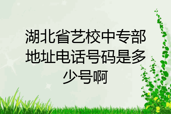 湖北省艺校中专部地址电话号码是多少号啊