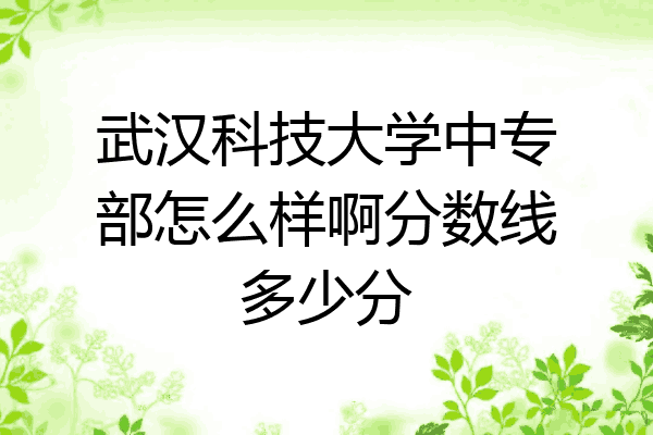 武汉科技大学中专部怎么样啊分数线多少分