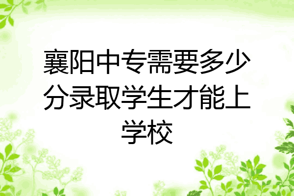 襄阳中专需要多少分录取学生才能上学校