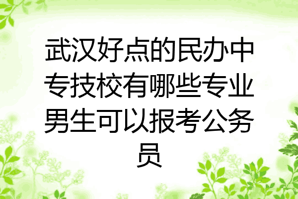 武汉好点的民办中专技校有哪些专业男生可以报考公务员