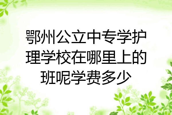 鄂州公立中专学护理学校在哪里上的班呢学费多少