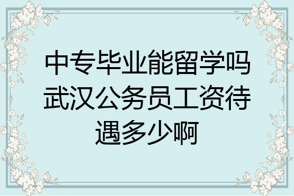中专毕业能留学吗武汉公务员工资待遇多少啊