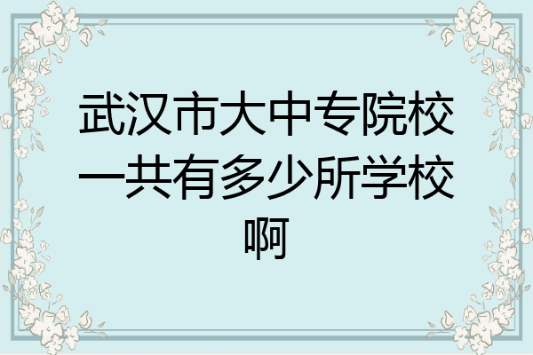 武汉市大中专院校一共有多少所学校啊