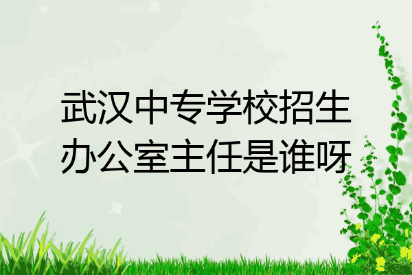 武汉中专学校招生办公室主任是谁呀