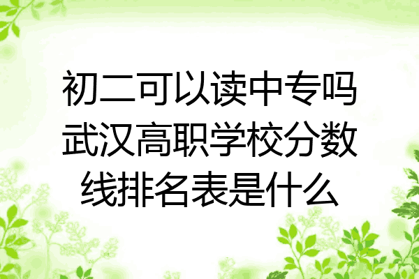 初二可以读中专吗武汉高职学校分数线排名表是什么