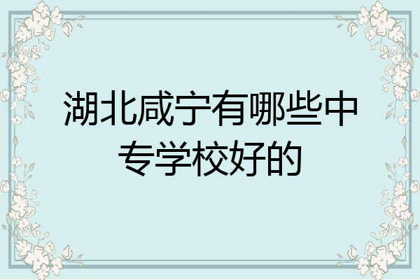 湖北咸宁有哪些中专学校好的