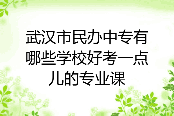 武汉市民办中专有哪些学校好考一点儿的专业课