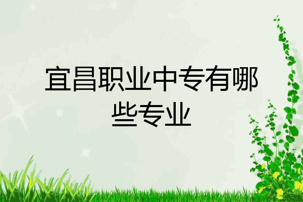 宜昌职业中专有哪些专业
