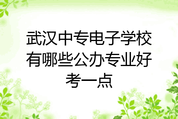 武汉中专电子学校有哪些公办专业好考一点