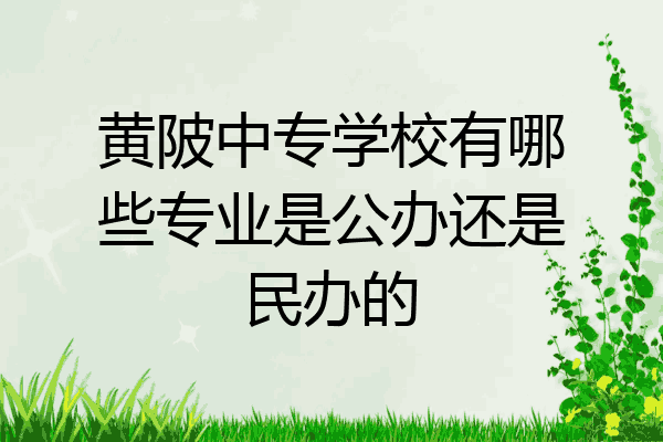 黄陂中专学校有哪些专业是公办还是民办的