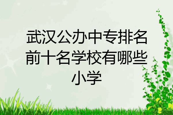 武汉公办中专排名前十名学校有哪些小学