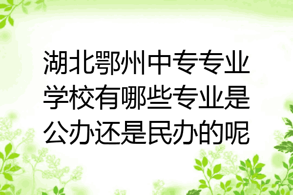 湖北鄂州中专专业学校有哪些专业是公办还是民办的呢
