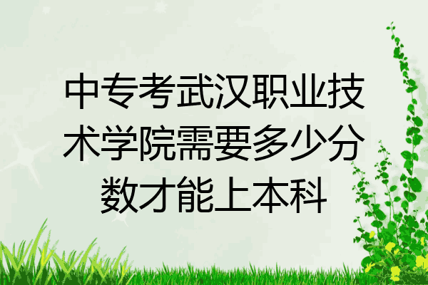 中专考武汉职业技术学院需要多少分数才能上本科