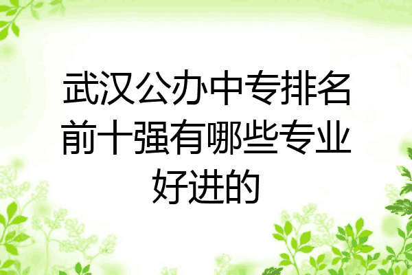 武汉公办中专排名前十强有哪些专业好进的