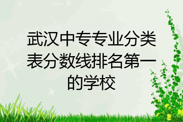 武汉中专专业分类表分数线排名第一的学校