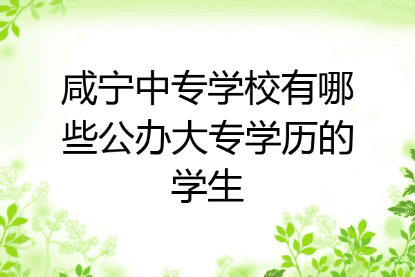 咸宁中专学校有哪些公办大专学历的学生