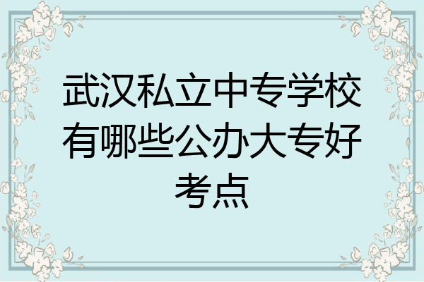 武汉私立中专学校有哪些公办大专好考点