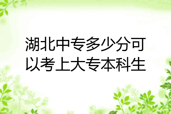 湖北中专多少分可以考上大专本科生