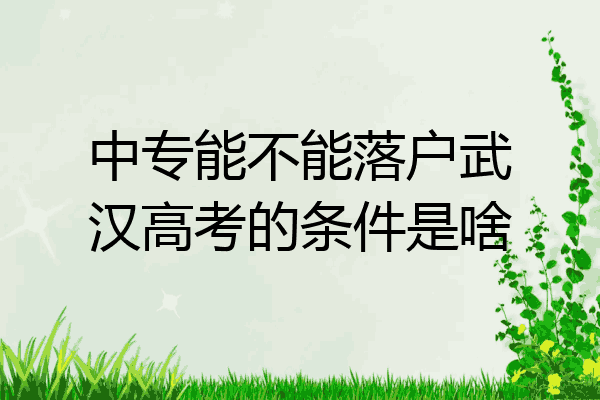 中专能不能落户武汉高考的条件是啥