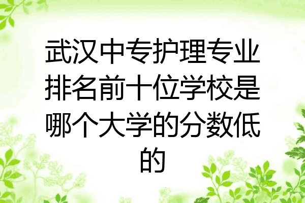 武汉中专护理专业排名前十位学校是哪个大学的分数低的