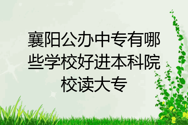 襄阳公办中专有哪些学校好进本科院校读大专