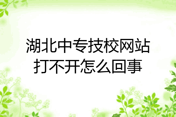 湖北中专技校网站打不开怎么回事