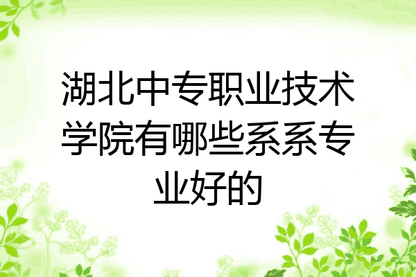 湖北中专职业技术学院有哪些系系专业好的