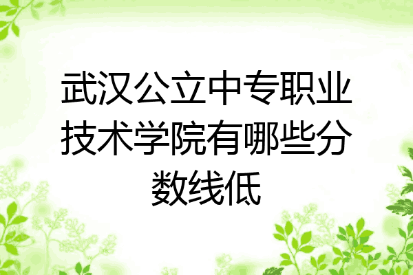 武汉公立中专职业技术学院有哪些分数线低