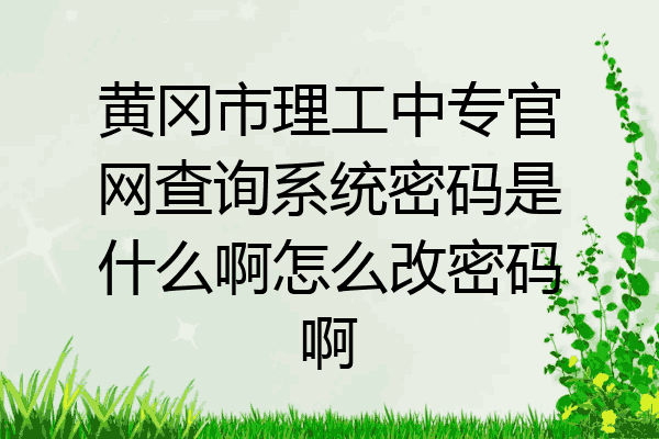 黄冈市理工中专官网查询系统密码是什么啊怎么改密码啊