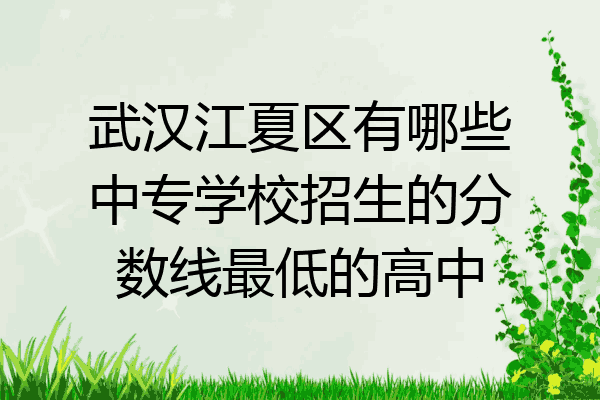 武汉江夏区有哪些中专学校招生的分数线最低的高中