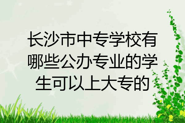 长沙市中专学校有哪些公办专业的学生可以上大专的