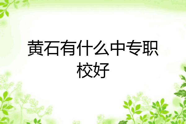 黄石有什么中专职校好