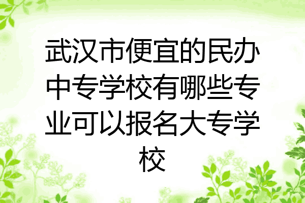 武汉市便宜的民办中专学校有哪些专业可以报名大专学校