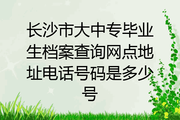 长沙市大中专毕业生档案查询网点地址电话号码是多少号