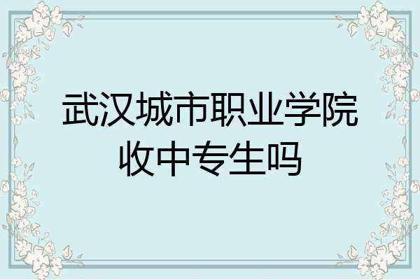 武汉城市职业学院收中专生吗
