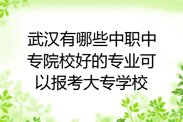 武汉有哪些中职中专院校好的专业可以报考大专学校