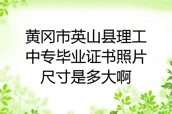 黄冈市英山县理工中专毕业证书照片尺寸是多大啊