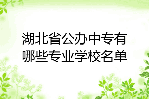 湖北省公办中专有哪些专业学校名单