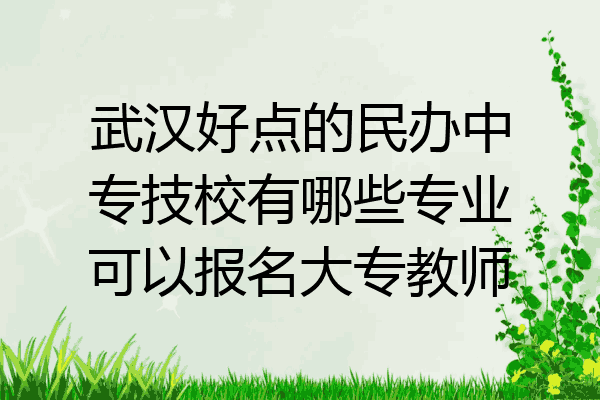 武汉好点的民办中专技校有哪些专业可以报名大专教师