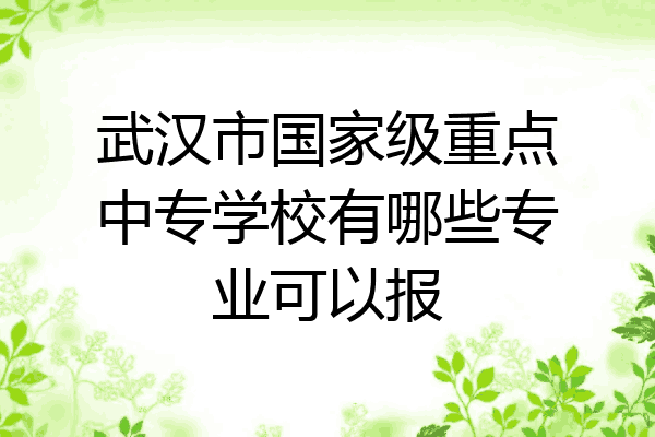 武汉市国家级重点中专学校有哪些专业可以报