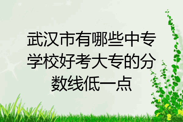武汉市有哪些中专学校好考大专的分数线低一点