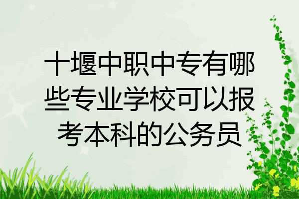 十堰中职中专有哪些专业学校可以报考本科的公务员