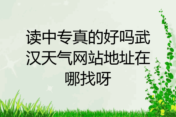 读中专真的好吗武汉天气网站地址在哪找呀