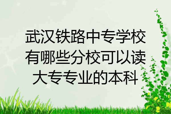 武汉铁路中专学校有哪些分校可以读大专专业的本科