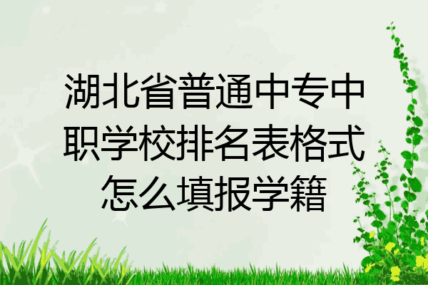湖北省普通中专中职学校排名表格式怎么填报学籍