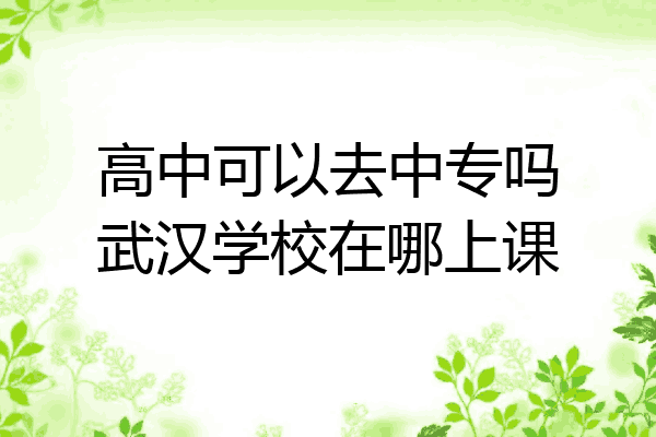 高中可以去中专吗武汉学校在哪上课